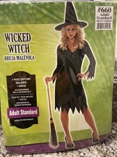 Wicked Witch Costume Adult Standard