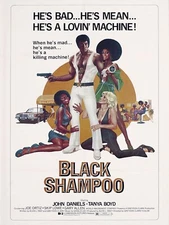 9829.Decoration Poster.Room wall design.Retro B stag movie film Black Shampoo