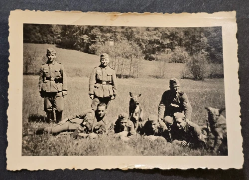 WW2 Photo France German Shepherds Wehrmacht Soldiers w Military War Dogs Canine