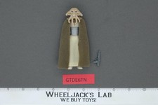 Squid Head for sale