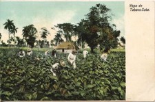 PC VEGA DE TABACO (a28809)