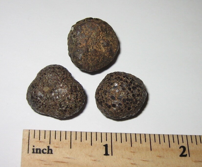 3 SMALL NATURAL 0.55"- 0.6" RARE 'PROPHECY STONE' MINERALS PAKISTAN 31.2grams *3