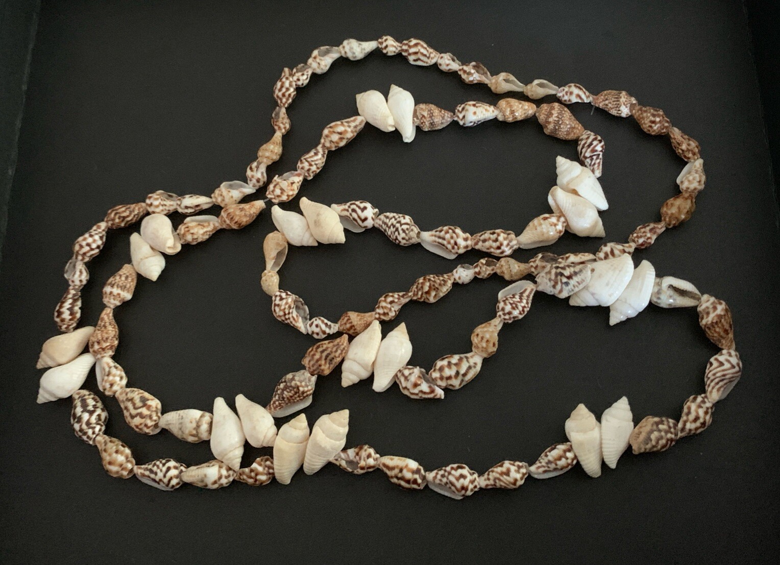 Vintage Delicate Authentic Seashell Necklace - image 1