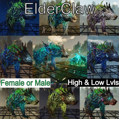  ASA Elderclaw High & Low Lvls Survival Ascended 