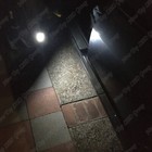 Picture 5 of 11