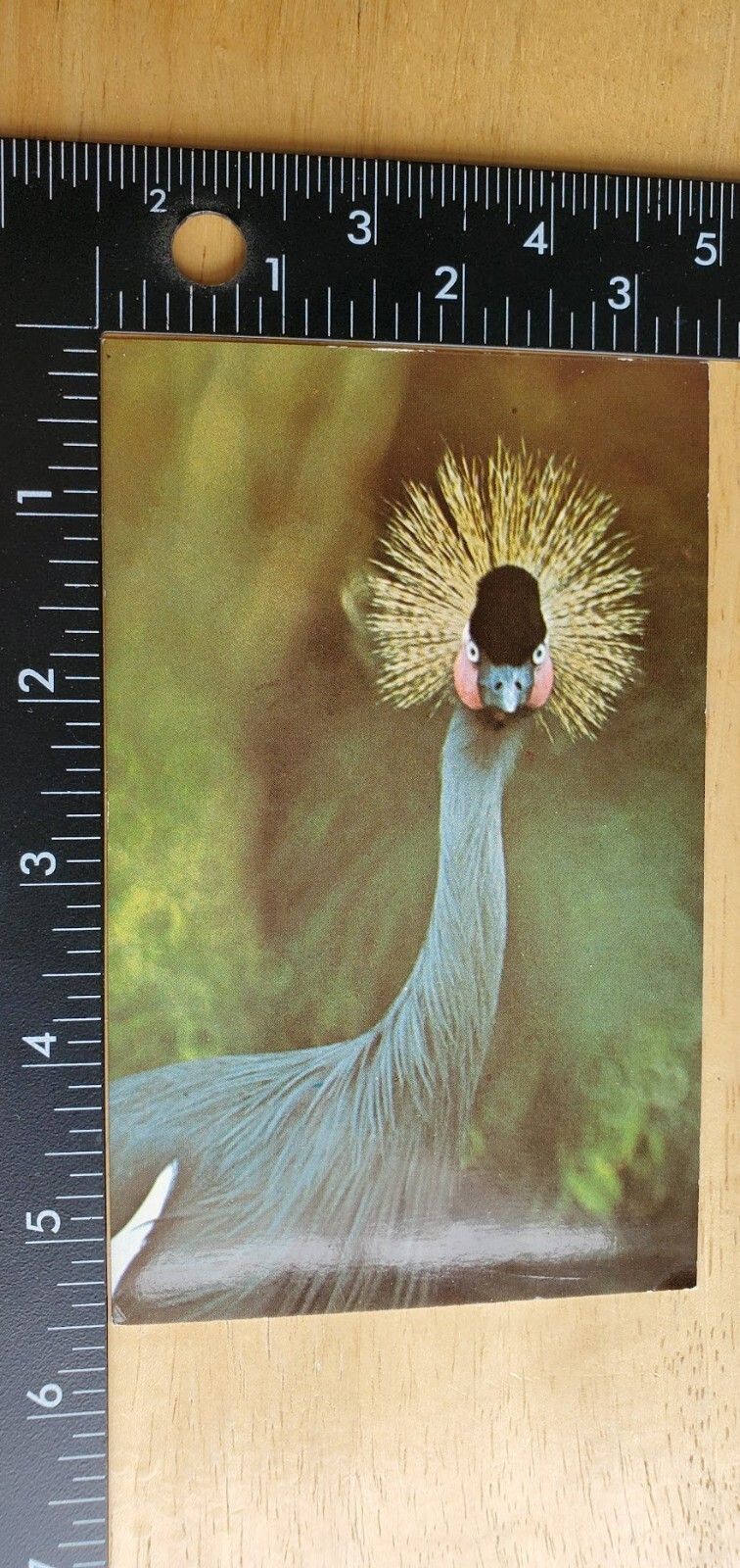 Picture 1 of 5