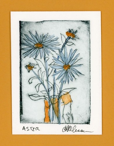 Aster Garten Blumen Original Aquarell Gemälde Radierung Signiert Limitierte Auflage