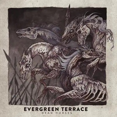 Evergreen Terrace - Dead Horses ZUSTAND SEHR GUT