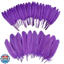 iHUFeather 270pcs Purple Goose Feathers for Crafts 2 Styles 4-7 inch Bulk Nat