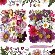 NATISERAUM 70Pcs Dried Pressed Flowers for Crafts, Natural 70 Pcs Pink Purple