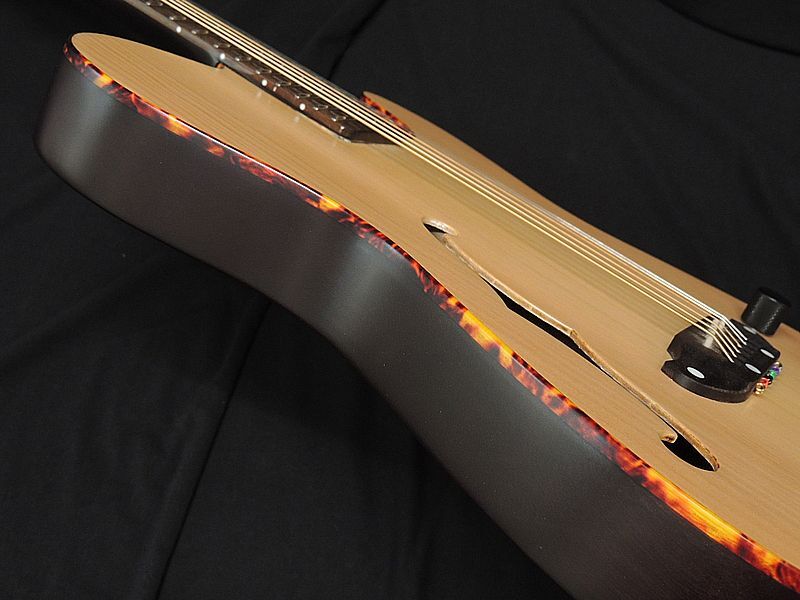 SCHECTER OL-FL-P SNTL Oriental Line Thin Body F Hole