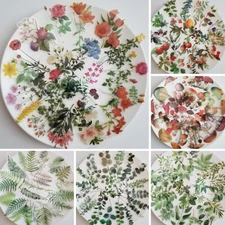 40pcs Transparent Flower/Plant/Mushroom/Leaf/fern/ Sticker Pack For Scrapbooking