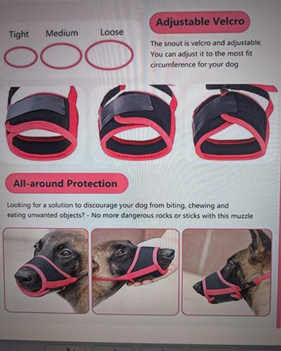 Durable Nylon Dog Muzzle with Adjustable Straps for Small Sized Dogs - Picture 4 of 4