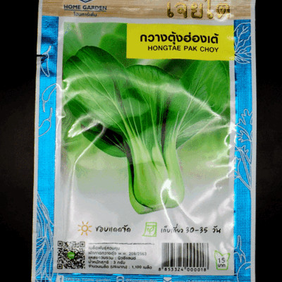 Hongtae Pak Choy 1,100 seed กวางตุ้งฮองเต้