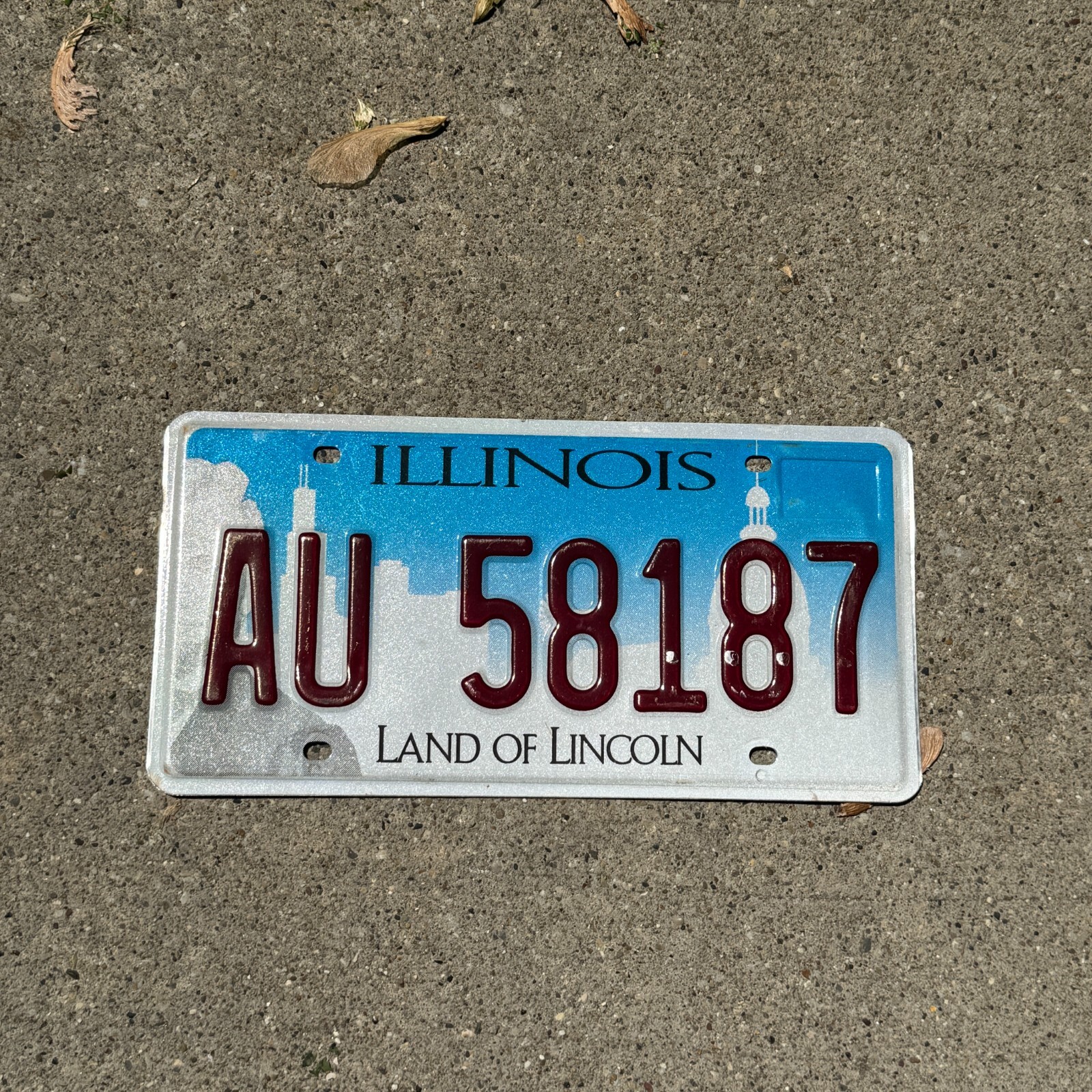2017 Illinois License Plate Vintage Auto Tag Car Garage Decor Initials AU 58187