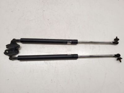 Toyota 4Runner, Hatchback Strut Pair LH & RH, 2003-2005, 53450