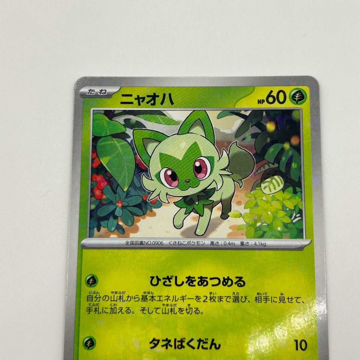Sprigatito ニャオハ Nyahoja G SV4a 012/190 Japan Japanese Basic