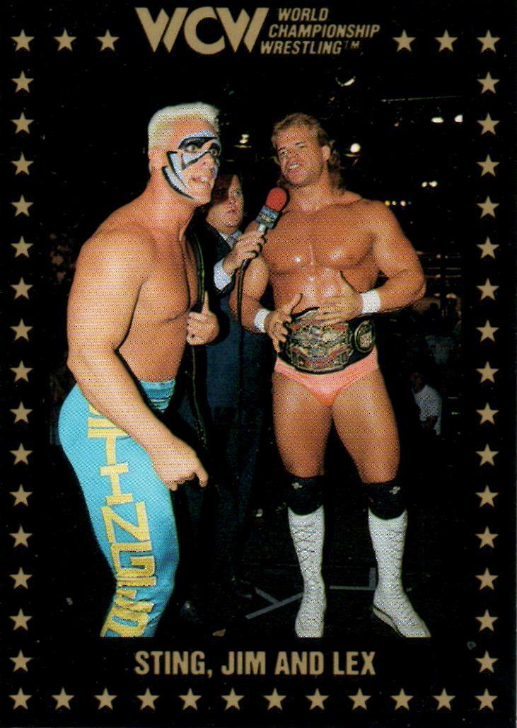 Sting Lex Luger Jim Ross WCW Pro Wrestling Trading Card 1991 #53