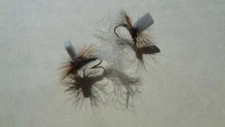 1 DOZ DF-6 FOAM EMERGER ADAMS (SELECT YOUR SIZE) DRY FLY