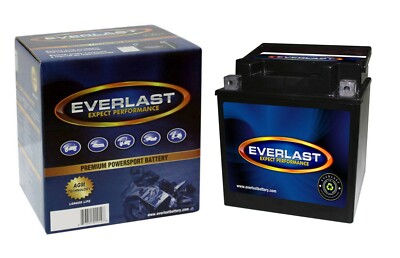 EVERLAST CTX30CL-B-BS   - 12V AGM Sealed Maintenance-Free Battery