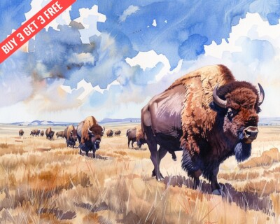 #ad Bison Herd Roaming American Great Plains Watercolor 8x10 Print $16.80