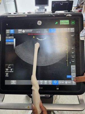 GE E8C-RS Endocavity Ultrasound Probe Transducer REF 5318734 getestet funktioniert