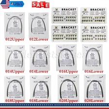 Dental Orthodontic Super Elastic Niti Arch Wire Round Ovoid / Brackets Braces ns