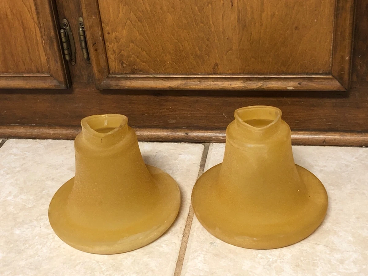 Replacement Globe For Hunter Ceiling Fan Shelly Lighting