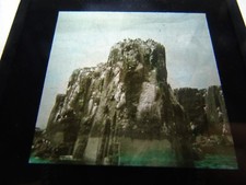 ANTIQUE REAL PHOTOGRAPH PHOTO ANIMAL BIRD MAGIC LANTERN SLIDE FARNE PINNACLE ROC