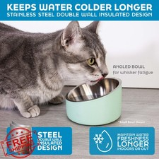 Master Pet Food Bowl 8oz Slanted Stainless Steel Insulated Non-Slip