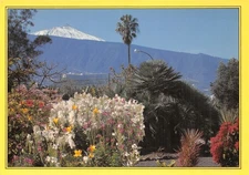 SPAIN TENERIFE CANARY ISLANDS