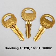 16120, 16001, 16002 DKS Doorking Replacement Keys