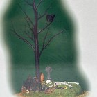 Foto 2 di 8