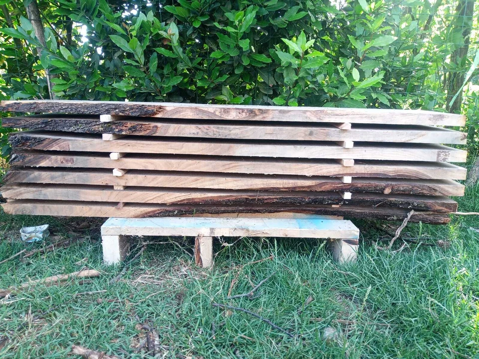 Lotto 2 tavoloni in legno MASSELLO di CASTAGNO pannello falegnameria resina Foto 2 de 2