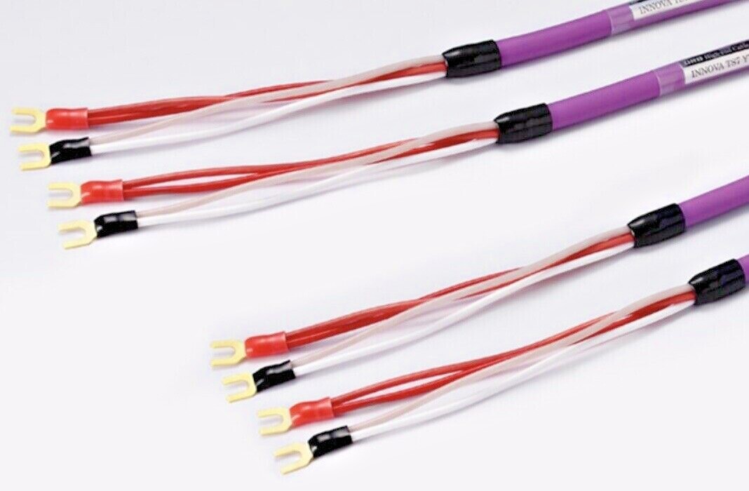 ORB Innova TS7 Speaker Cable 2×2.5m Pair | High-Speed 4-Core Japan