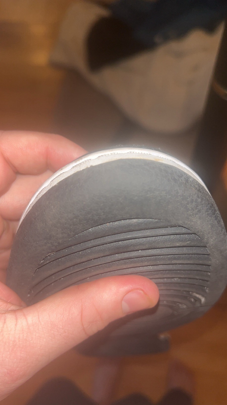 Panda Dunk - image 4