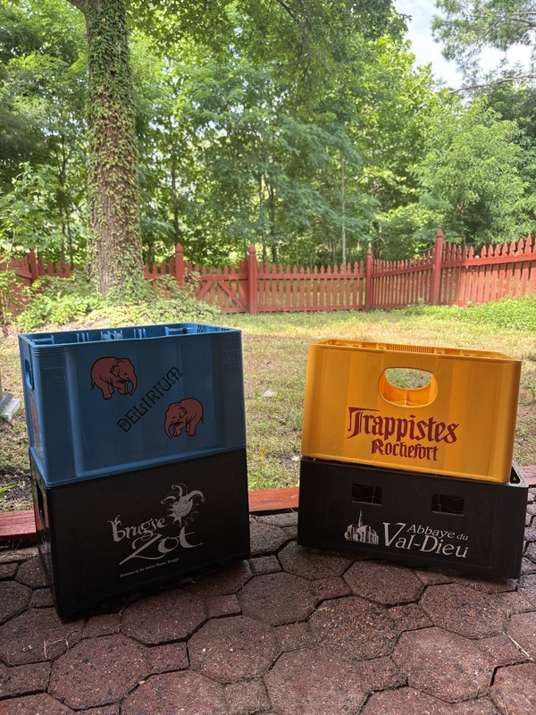 Authentic Brugse Zot 24-Bottle Plastic Beer Crate - De Halve Maan Bruges Belgium