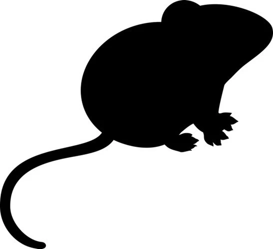 PEREGRINE LIVEFOODS (PLT) 100-PACK FROZEN MICE FUZZIES 4G+ FOR REPTILES/RAPTORS - QUALITY GUARANTEED