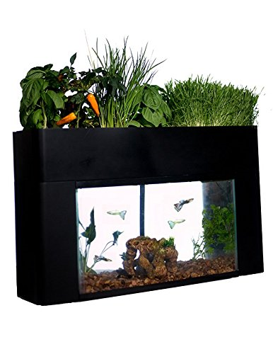 self sustaining aquarium aquaponics garden kit fits 10
