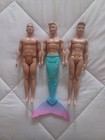Ken Dolls — photo 1