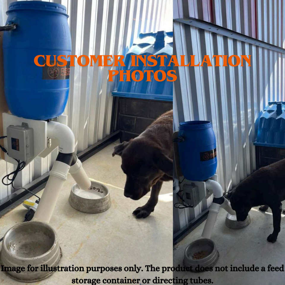 View of Automatic Dog Feeder Food Dispenser with Timer Care for Your Large and Small Pet | eBay