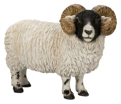 sheep♪ Vivid Arts Scottish Blackface Ram Sheep H26cm Lifelike Garden Home