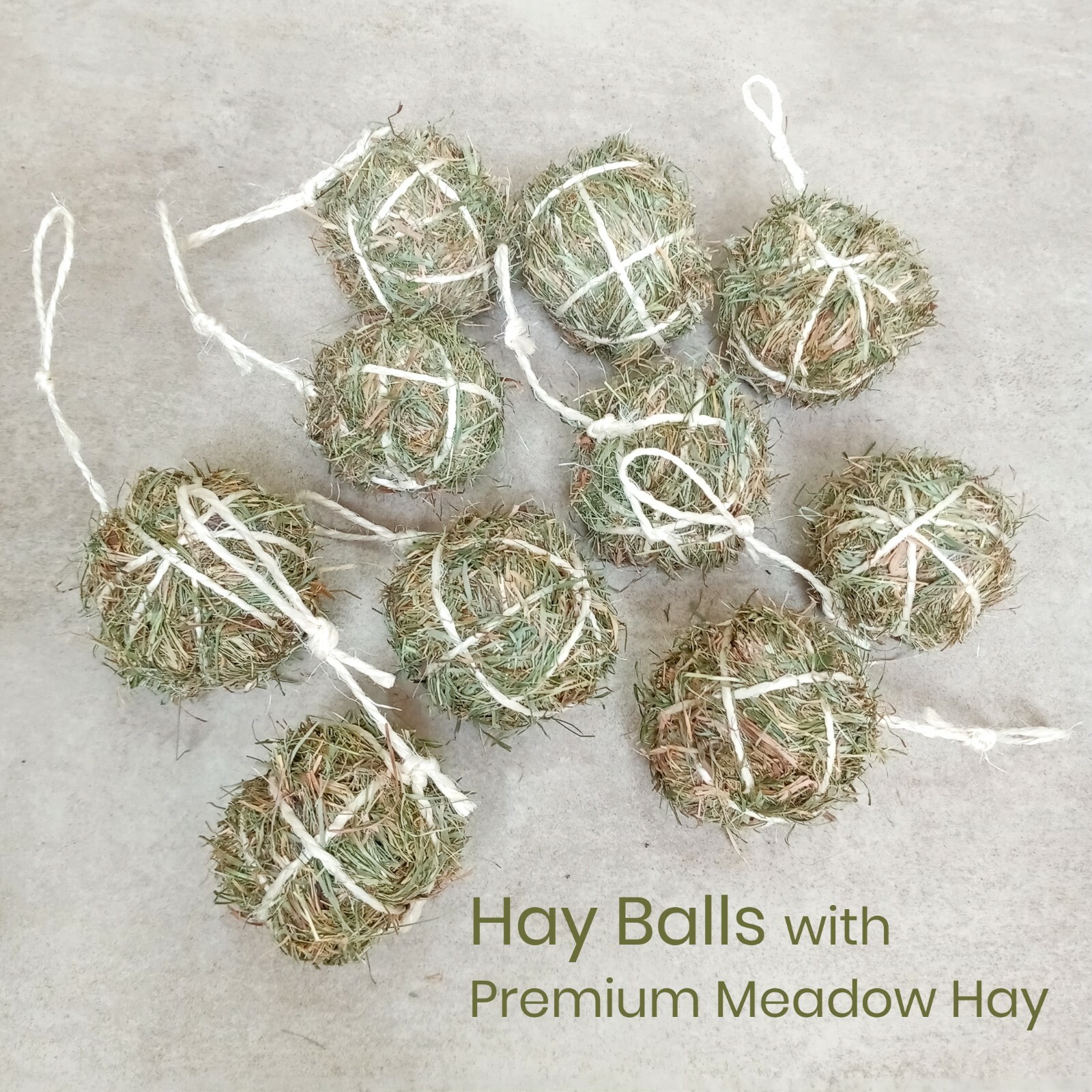 Set of 10 Meadow Hay Balls Chew Toys Treats Chinchillas Hamsters Mice