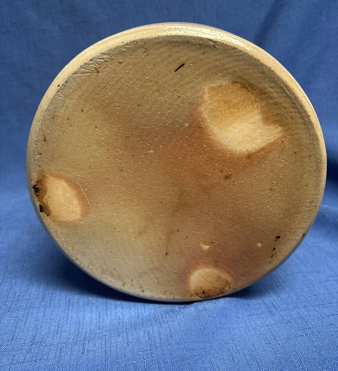 BRISA Assiette à pâtes en Grès D23 Bleue COSTA NOVA