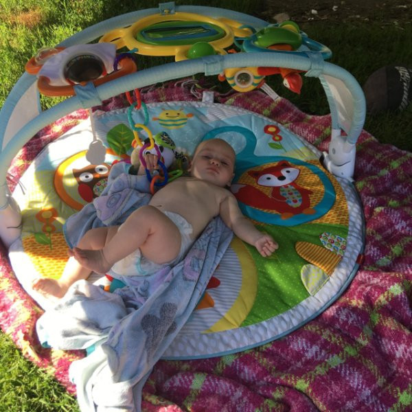 skip hop amazing arch activity gym