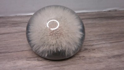vintage lucite Tarax enclased dandelion flower Paperweight made Canada      Z156