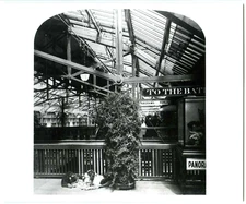 c.1900 SAN FRANCISCO SUTRO BATHS PROMENADE LEVEL w/TRIO of DOGS~8x10 PHOTO PRINT