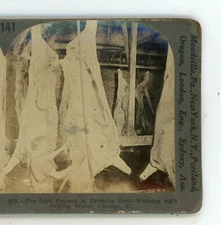 Last Process Dressing Beef Chicago Illinois IL Keystone Stereoview