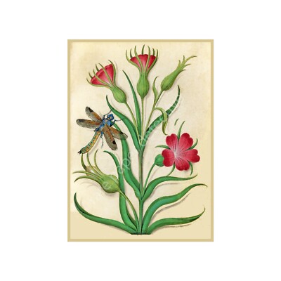 Botanical Print, Antique Flower Art with Dragonfly, Reproduction Art, 5'' x 7''