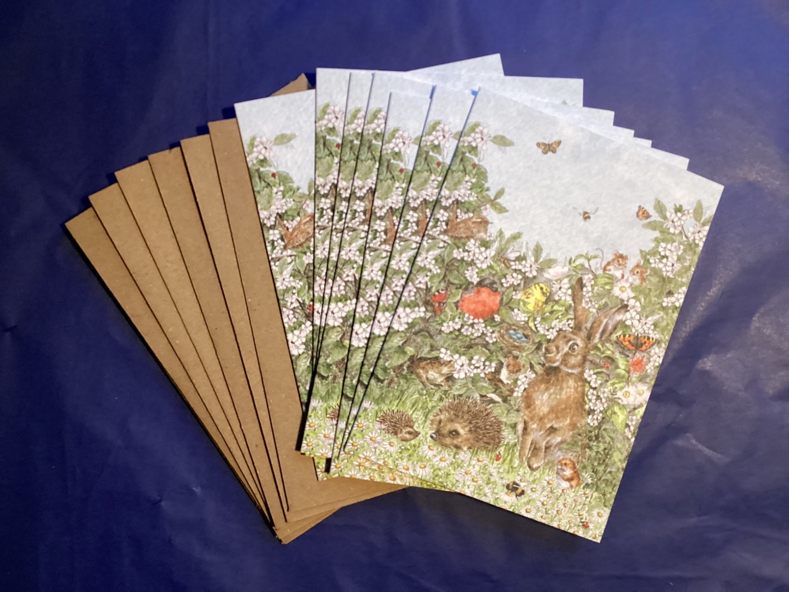 Rectangular Notecard Set (8) Wrendale ""HIDDEN IN THE HEDGEROW”